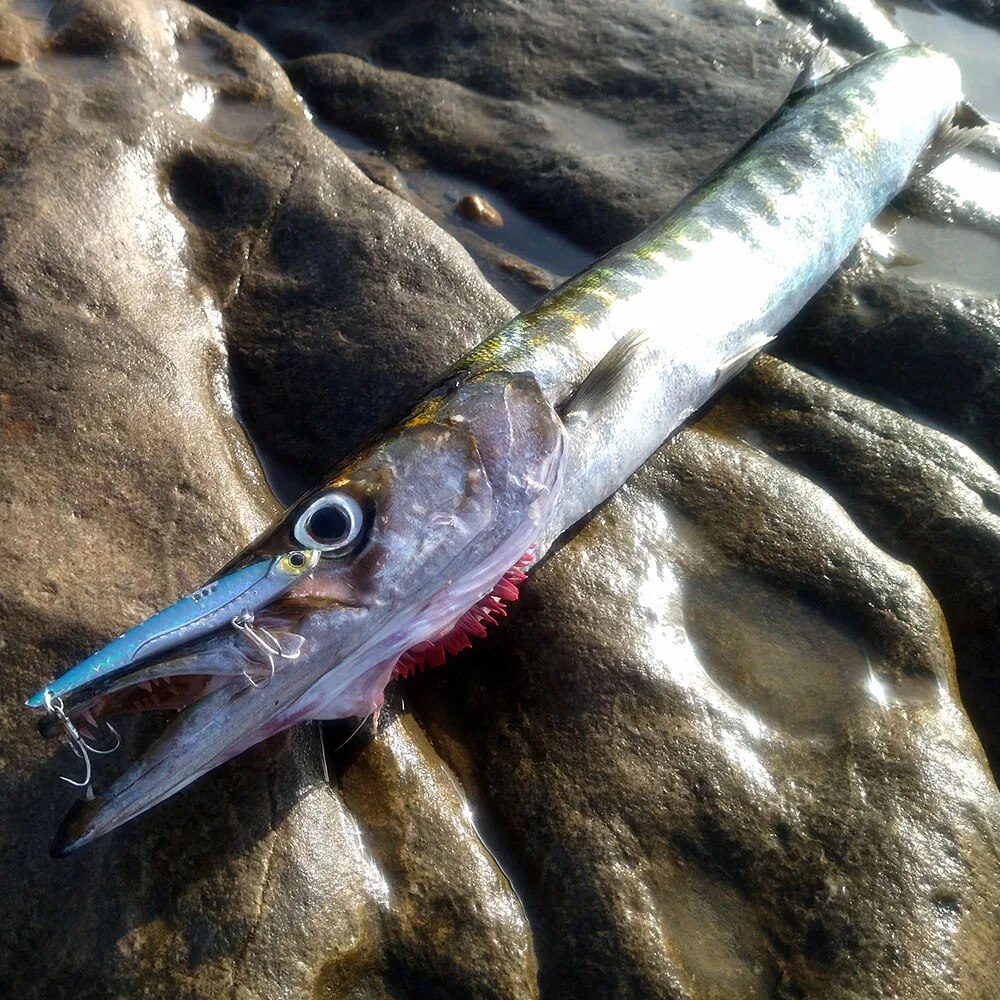 GOBAIT VIB Vissen Lokken 20g 2 - Fishing Lure Blade Bait recensie en prijs