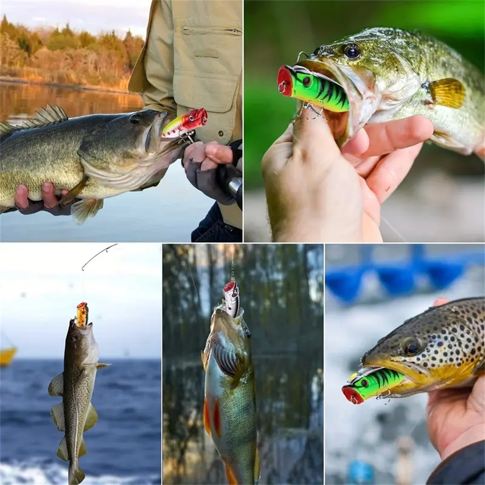 5 stuks Popper Kunstaas 3d Oge - Fishing Lure Popper recensie en prijs