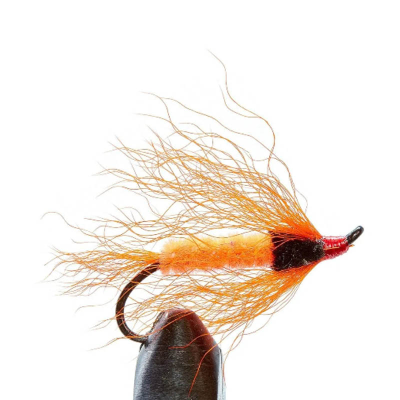 2 stks Kalf Staart Vliegbindse - Fishing Lure Topwater recensie en prijs