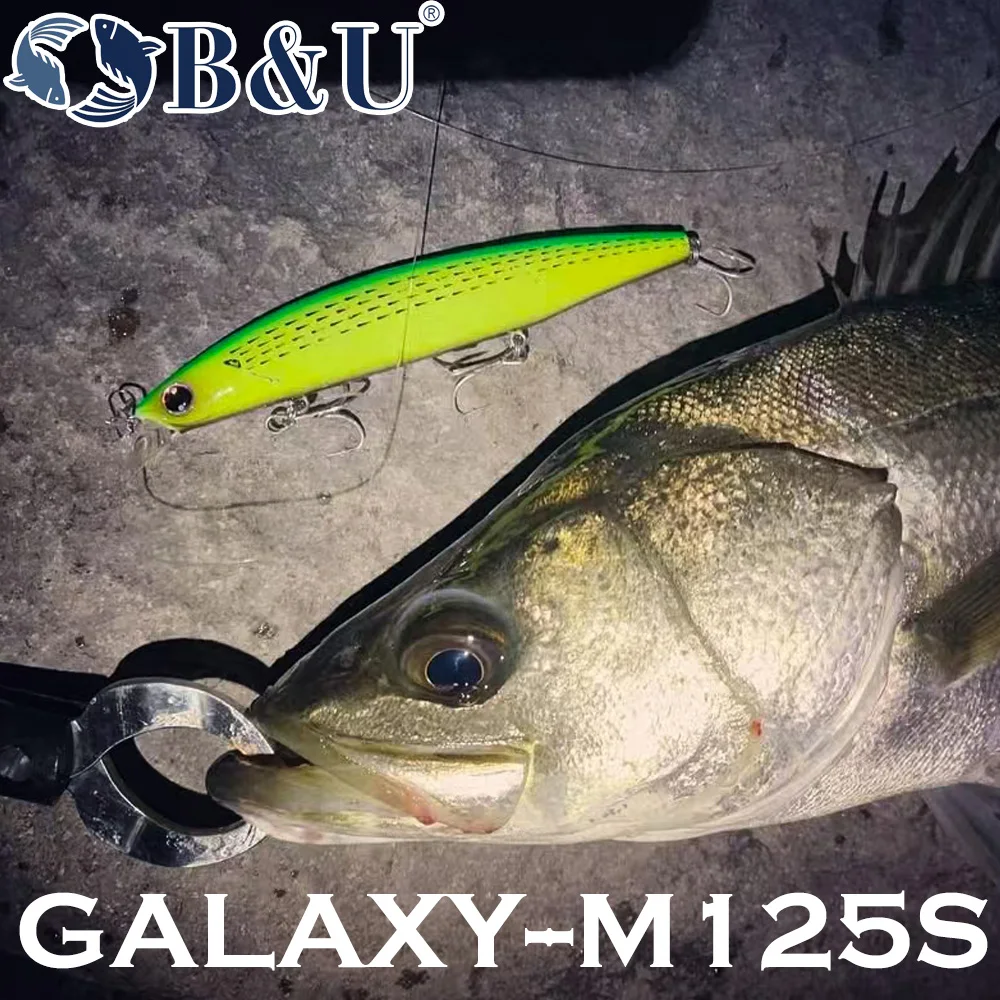 B&U 125mm Sinking Minnow Zeevi - Fishing Lure Crankbait recensie en prijs